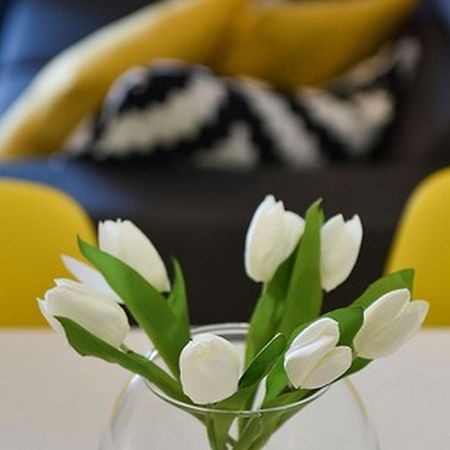 Mediterraneo Garden Apartments بيتريتْشاني الغرفة الصورة